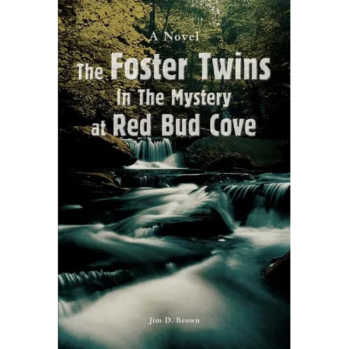 The Foster Twins In The Mystery at Red Bud Cove