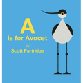 A is for Avocet