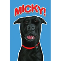 Micky!