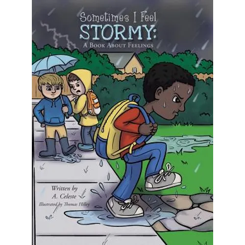 Sometimes I Feel Stormy: A Book About Feelings