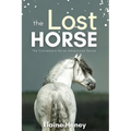 The Lost Horse - Book 6 in the Connemara Horse Adventure Series for Kids