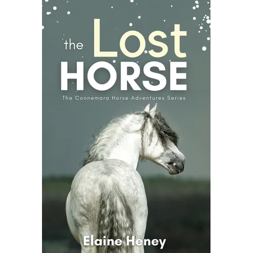 The Lost Horse - Book 6 in the Connemara Horse Adventure Series for Kids