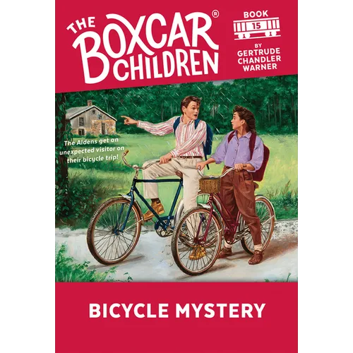 Bicycle Mystery