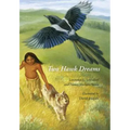 Two Hawk Dreams