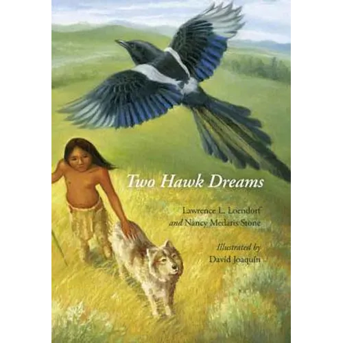 Two Hawk Dreams