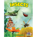 Insects