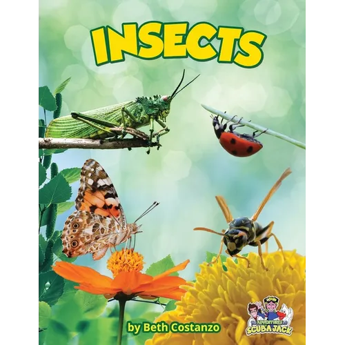 Insects