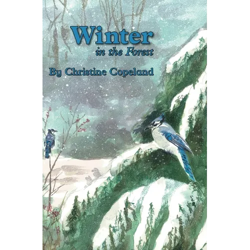Winter in the Forest: A Seasons in the Forest Book