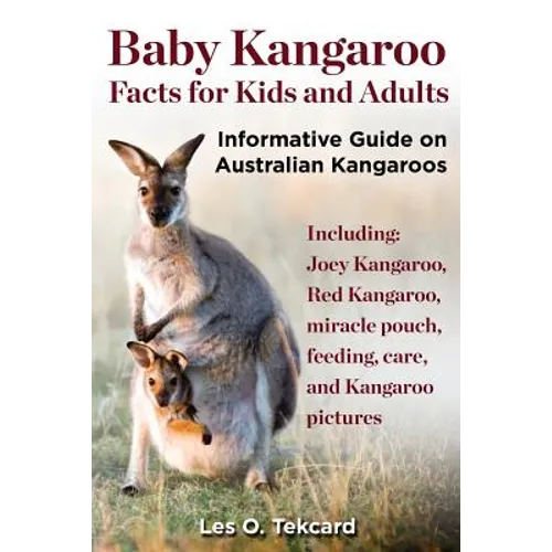 Baby Kangaroo Facts for Kids and Adults