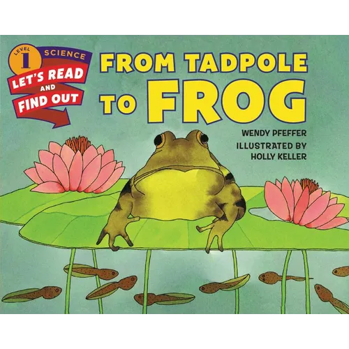 From Tadpole to Frog