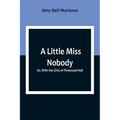 A Little Miss Nobody; Or, With the Girls of Pinewood Hall
