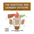 The Digestive and Urinary Systems