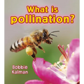 What Is Pollination?