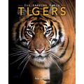 Tigers: Amazing Pictures & Fun Facts on Animals in Nature