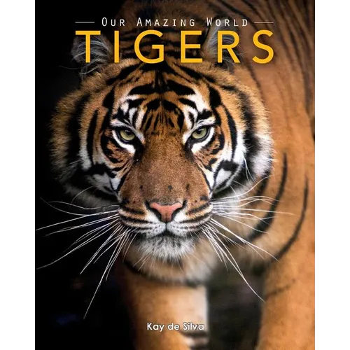 Tigers: Amazing Pictures & Fun Facts on Animals in Nature