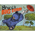 Bruce's Big Storm