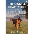 The Castle Charity Ride and the Connemara Pony - The Coral Cove Horses Series