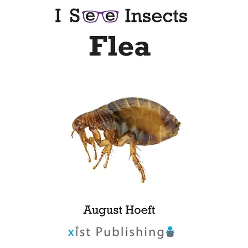 Flea