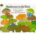 Mushroom in the Rain