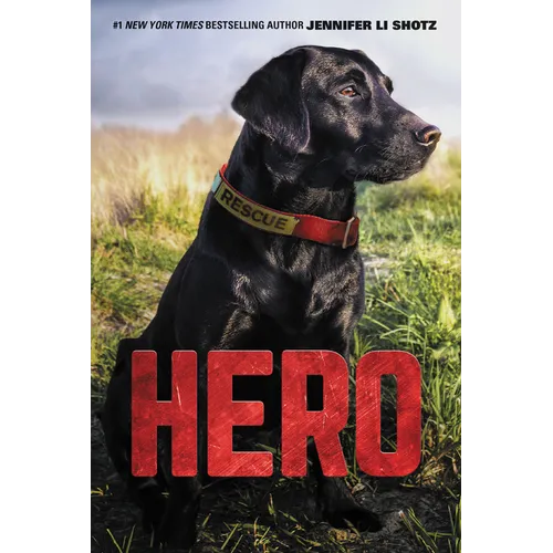Hero