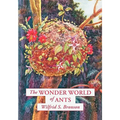 The Wonder World of Ants