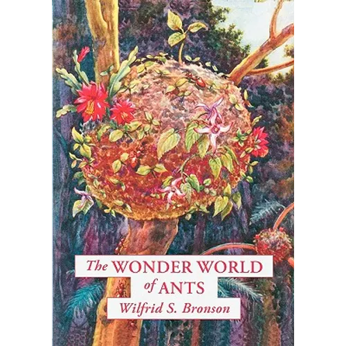 The Wonder World of Ants