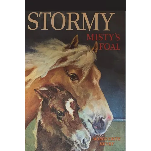 Stormy, Misty's Foal
