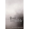The World Invisible