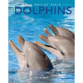 Dolphins: Amazing Pictures & Fun Facts on Animals in Nature