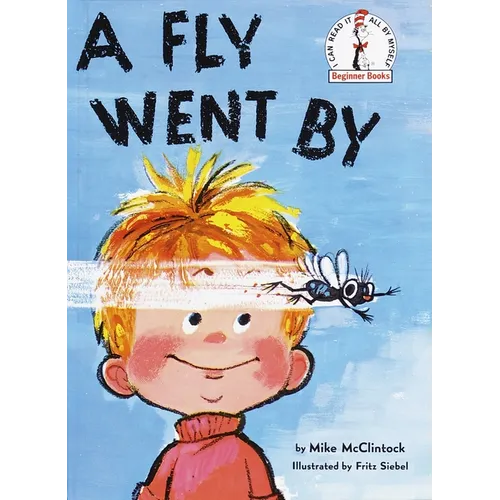 A Fly Went by