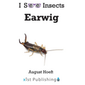 Earwig
