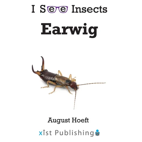 Earwig