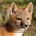 The Tale of Jacob Swift