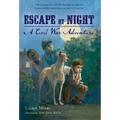 Escape by Night: A Civil War Adventure