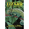 Learning from the Lizard