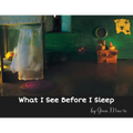 What I See Before I Sleep