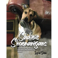 Sadie's Shoenanigans