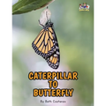 Letter C - Caterpillar to Butterfly for Kids 3-8