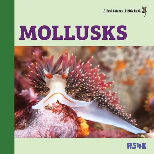 Mollusks