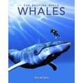 Whales: Amazing Pictures & Fun Facts on Animals in Nature