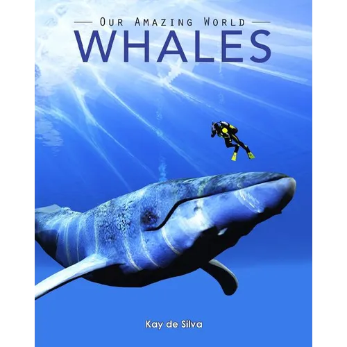 Whales: Amazing Pictures & Fun Facts on Animals in Nature