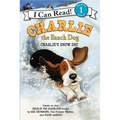 Charlie the Ranch Dog: Charlie's Snow Day: A Winter and Holiday Book for Kids
