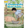 Ruuka Feeds A Pig - E Kaamwarake Beeki Ruuka (Te Kiribati)
