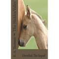 The Hidden Valley Unveiled: The Sequel