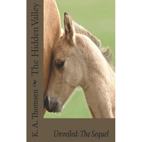 The Hidden Valley Unveiled: The Sequel