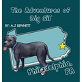 The Adventures of Big Sil Philadelphia, PA: Children's Book Picture Book
