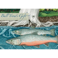 Bull Trout's Gift: A Salish Story about the Value of Reciprocity