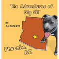 The Adventures of Big Sil Phoenix: Children's Book