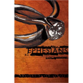 Ephesians: Lectio Divina for Youth