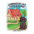 Labrador Lily Gets A Home